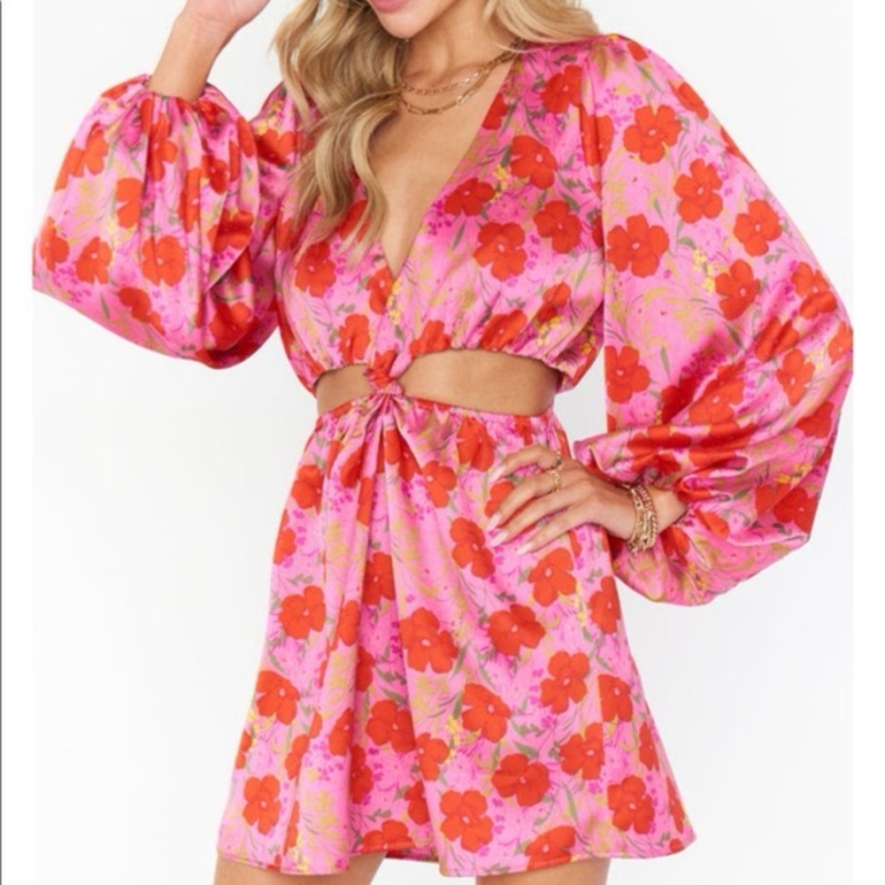 Show Me Your MuMu Pink and Red Floral Mini Dress